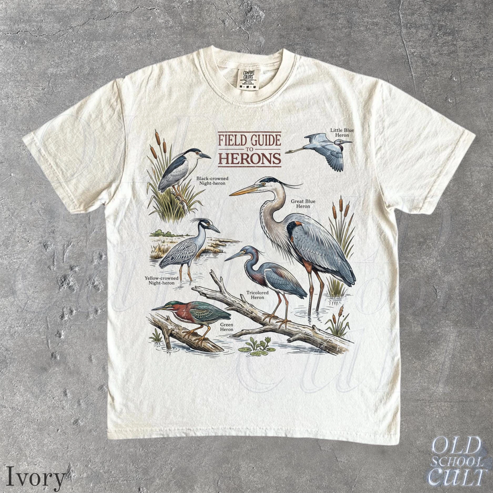 Field Guide Herons T Shirt, Ivory Birdwatching Graphic Tee, Wetland Birds Nature Shirt, Heron Lover Gift