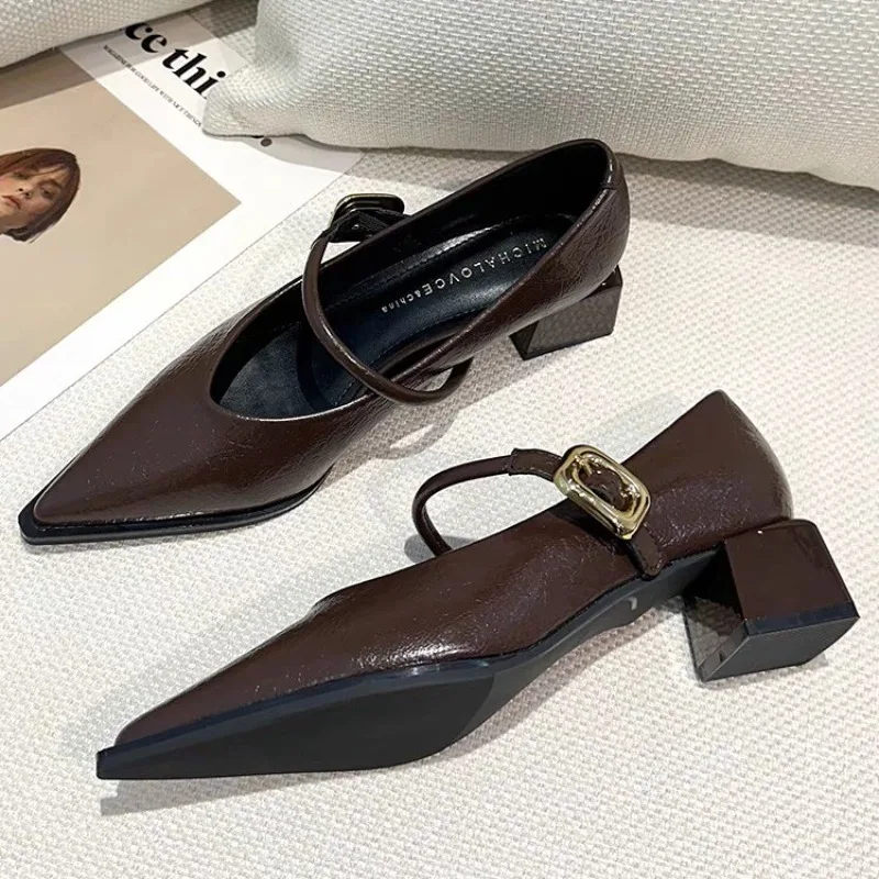 

Новые весенние стильные туфли на квадратном каблуке с острым носком, универсальные стильные туфли на одинарной платформе, женская обувь среднего размера, профессиональные модельные туфли с пряжкой на высоком каблуке