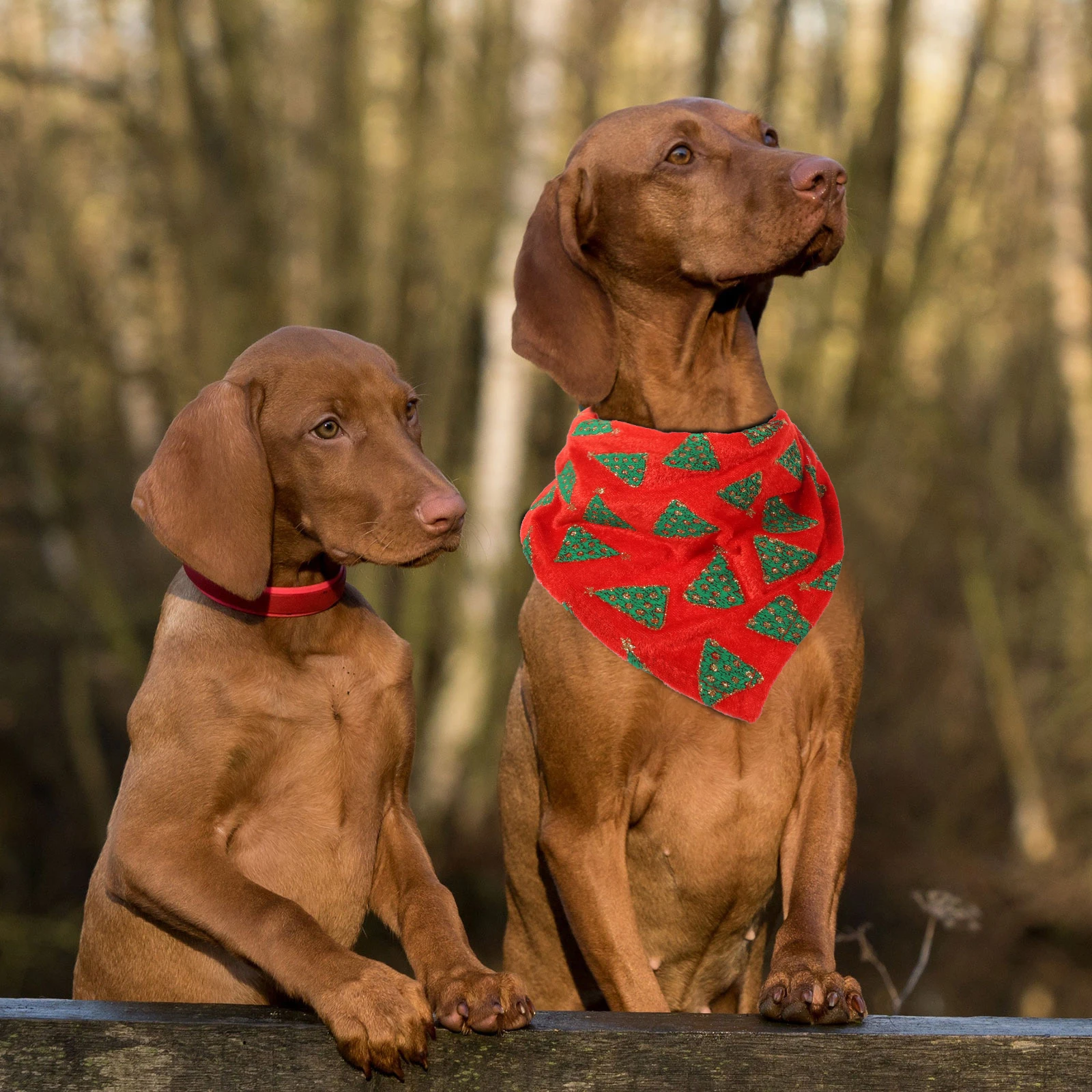 

Handkerchief Dog Christmas Saliva Towel Decorative Bandana Polyester Winter Cooling