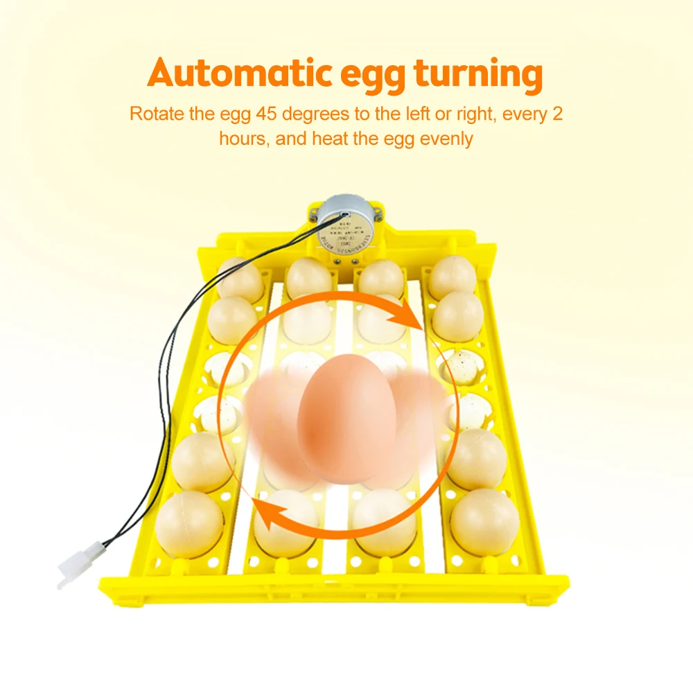 24 Eggs Incubator Automatic Egg Turner for Chicken Goose Bird Quail Automatic Incubation Equipment Hatchery Tools 110V 220V