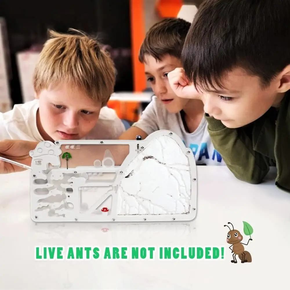 New Large Viewing Area Ant Farm Castle Educational Science Gifts Plastics Sand Habitat Ant Farms Ant Colony Observation Kits