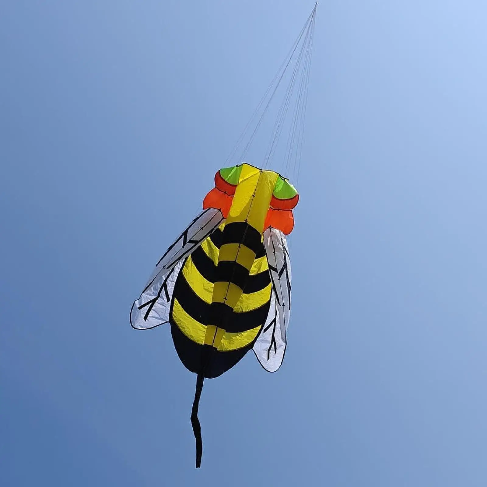 Cometas voladoras con forma de abeja, juguete deportivo para niños y niñas, sin marco, enorme, 3D, grande, suave, para senderismo, viaje, principiantes, acampar al aire libre