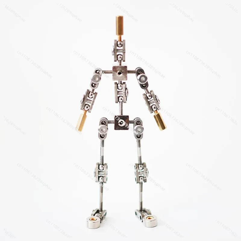 Full metal frozen frame animation character skeleton stainless steel skeleton