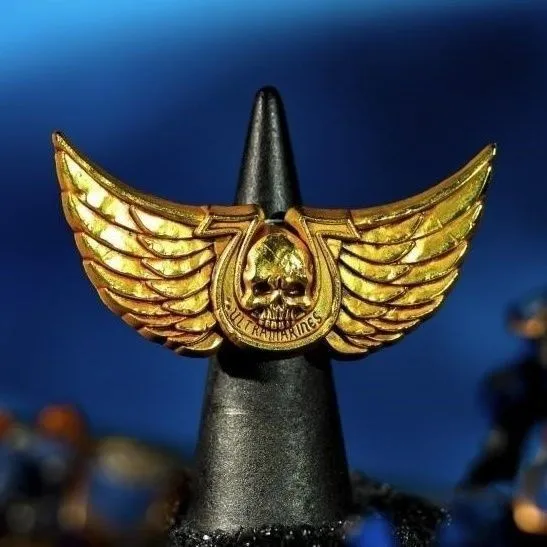 2026 ستار كاستينغ Warhammer ستار واريور الحصري توس المتطرفة بروش شارة #3