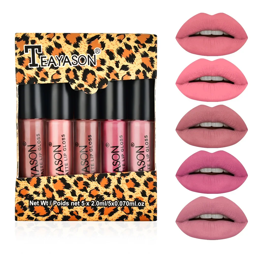 TEAYASON 5Pcs/Set Kit Cosmetic Waterproof Lipstick Sexy Vampire Lip Stick Nude Matte Velvet Lipsticks Lips Makeup Labiales Box