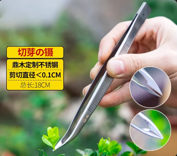 Stainless Steel Bud Trimming Tweezers with Cutting Tip - 180mm