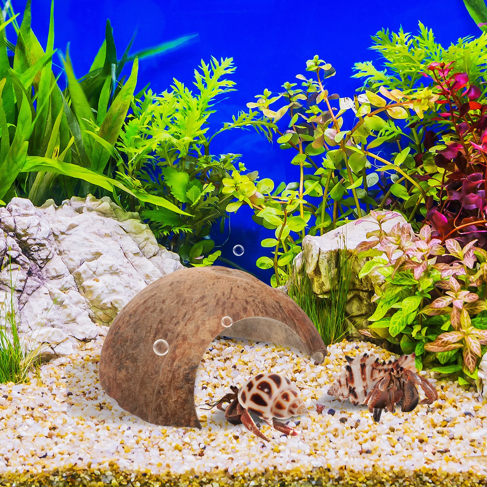 1 مجموعة الناسك كراب مخبأ جوز الهند قذيفة المأوى آمنة الزواحف إخفاء السلاحف بقية كوخ كهف الموئل صدف طبيعي الزينة #1