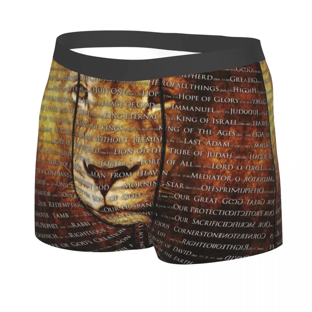 Male Cool The Names Of God Jesus Lion Underwear Christian Catholic Boxer Briefs Breathbale Shorts Panties Underpants