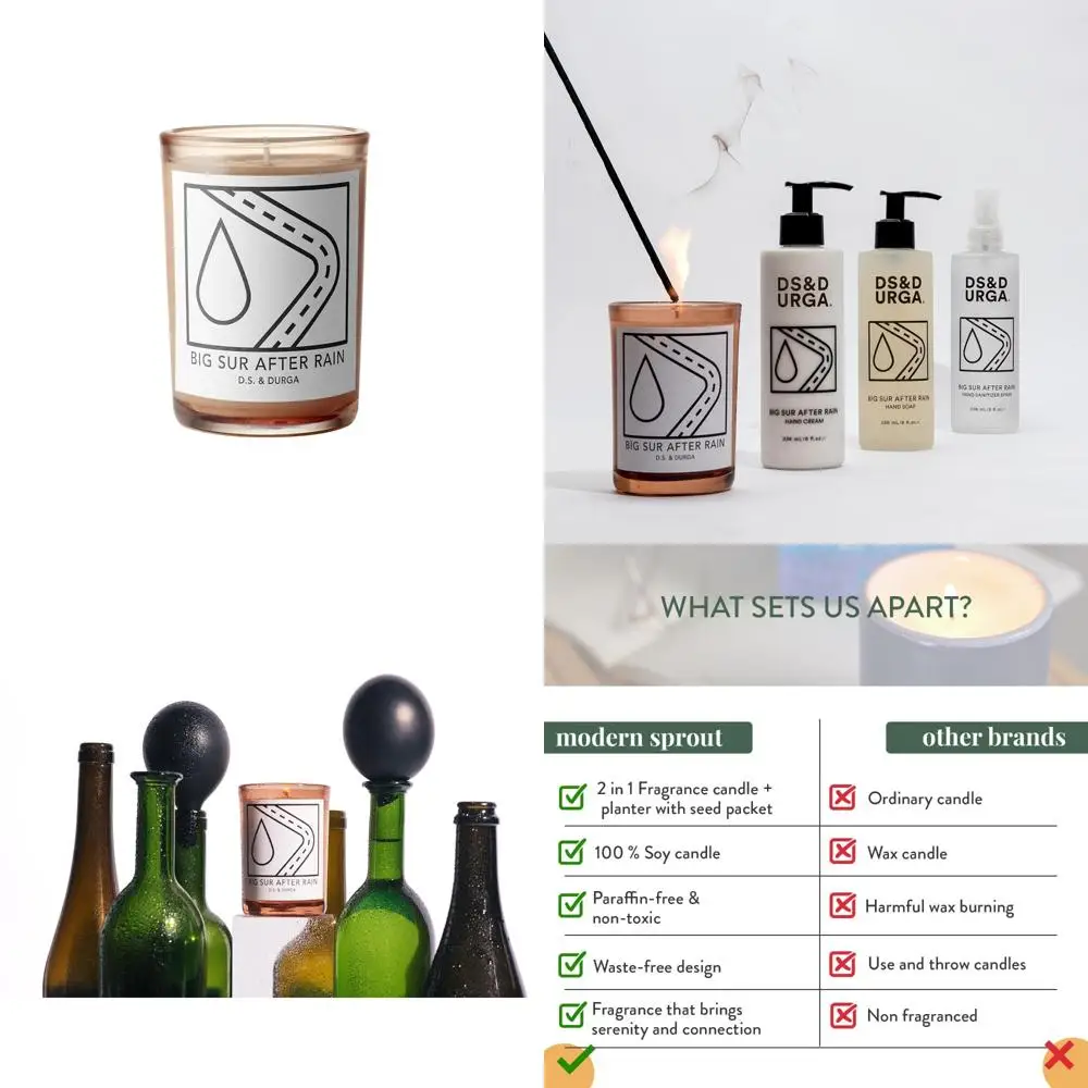 After-Rain Big Sur … - image