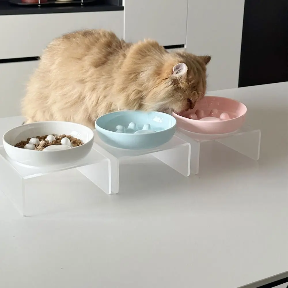 

Simple Ceramic Cat Food Water Bowl Non-Slip Anti-flip Cat Slow Food Bowl Stable Anti-vomiting Pet Feeder Bowl Wet Dry Food