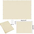 Beige 400x300CM
