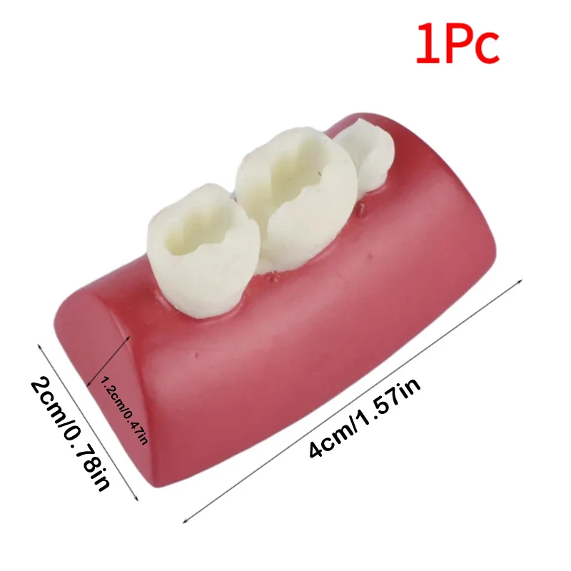 ＆1Pc Oral Filling Model Dental Inlay Exercise Model Block Filling Exercise Typodont Resin Materials For Dentistry Teaching Stud