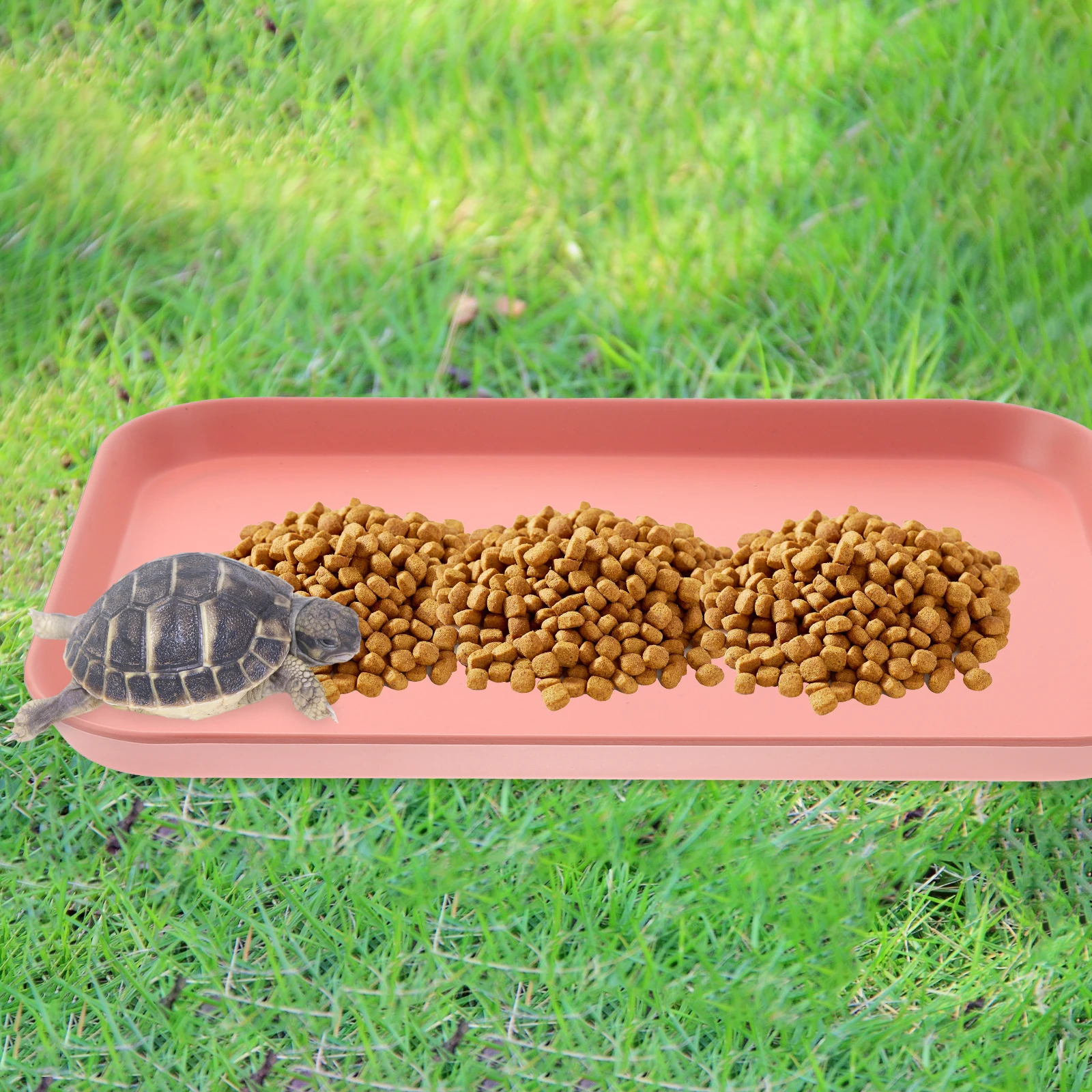 

Reptile Water Dish Resin Durable Large Tortoise Food Bowl Easy Clean Feeding Holder Terrarium Pet Feeding Bowl