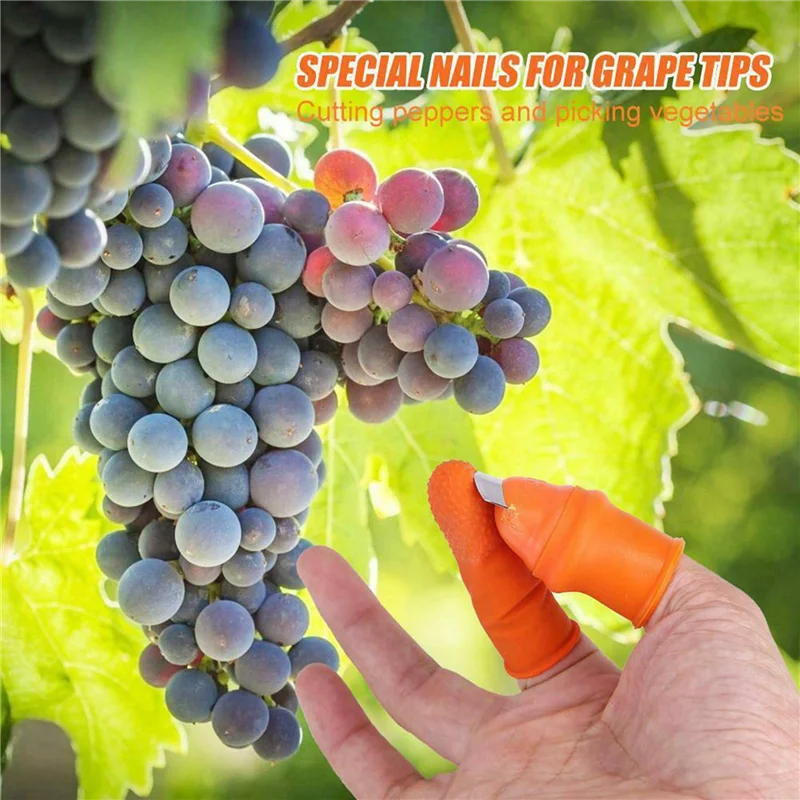 AB47-5X สวนซิลิโคน Thumb มีด Finger Cots Thumb มีด Picker สําหรับผลไม้ Vege-L