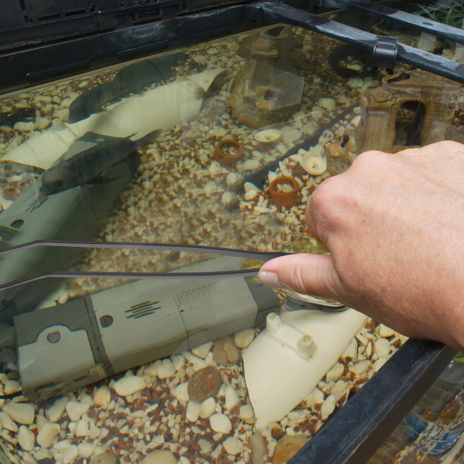 

1Set Fish Tank Coral Feeding Tools Durable Acrylic Stainless Steel Aquarium Tweezers Dropper for Reef Coral Phytoplankton