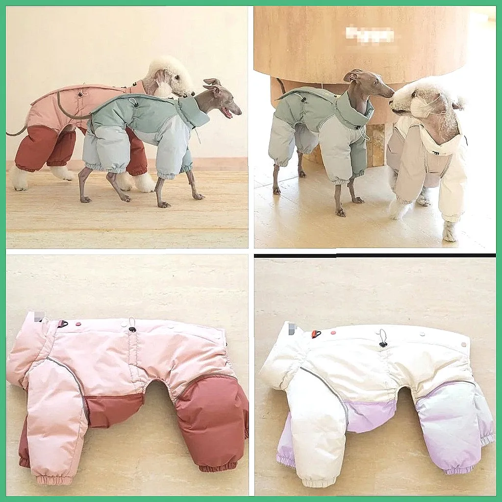 

Ветрозащитная зимняя куртка для собак, комбинезон для холодной погоды с цветовыми блоками для маленьких и средних собак (Модель: 74)