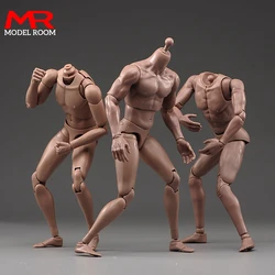 TQ210 TQ220 TQ230 1/6 Male Normal Muscle Joint Body 12'' Soldier Flexible Action Figure Body Dolls for 1:6 Head Sculpts