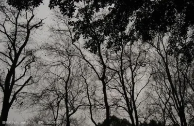 

Комплект из 4 шин 110 мм для шорт-корс траков 1/8 и 1/10 с дисками и шестигранником 12 мм/17 мм для Monster Truck ARRMA, Trxs, Slash, HPI, VKAR, Redcat H