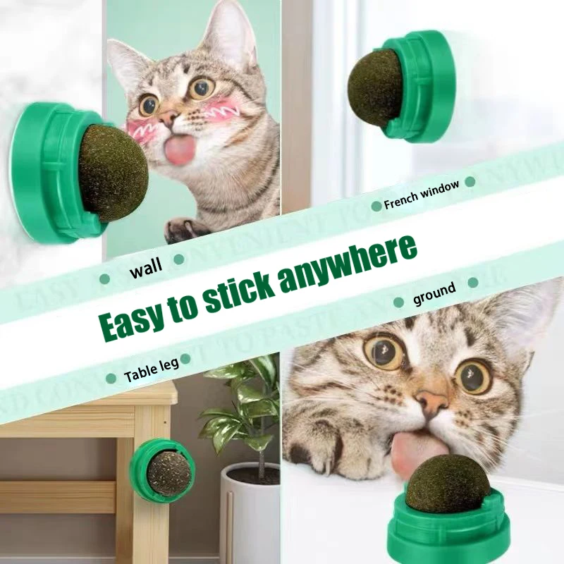 Natural Catnip Cat girevole Catnip Wall Ball Toys pulizia dei denti Catnip Toy