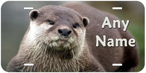 Otters Any Name Personalized Novelty Car License Plate Aluminum