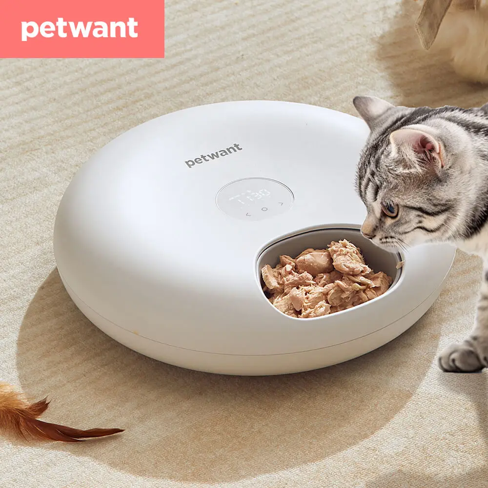 Petwant Automatic Pet Feeder Cat Food Dispenser For Wet & Dry Food Kibble Automatic 6 Meals LED Screen Charge Powered For cats