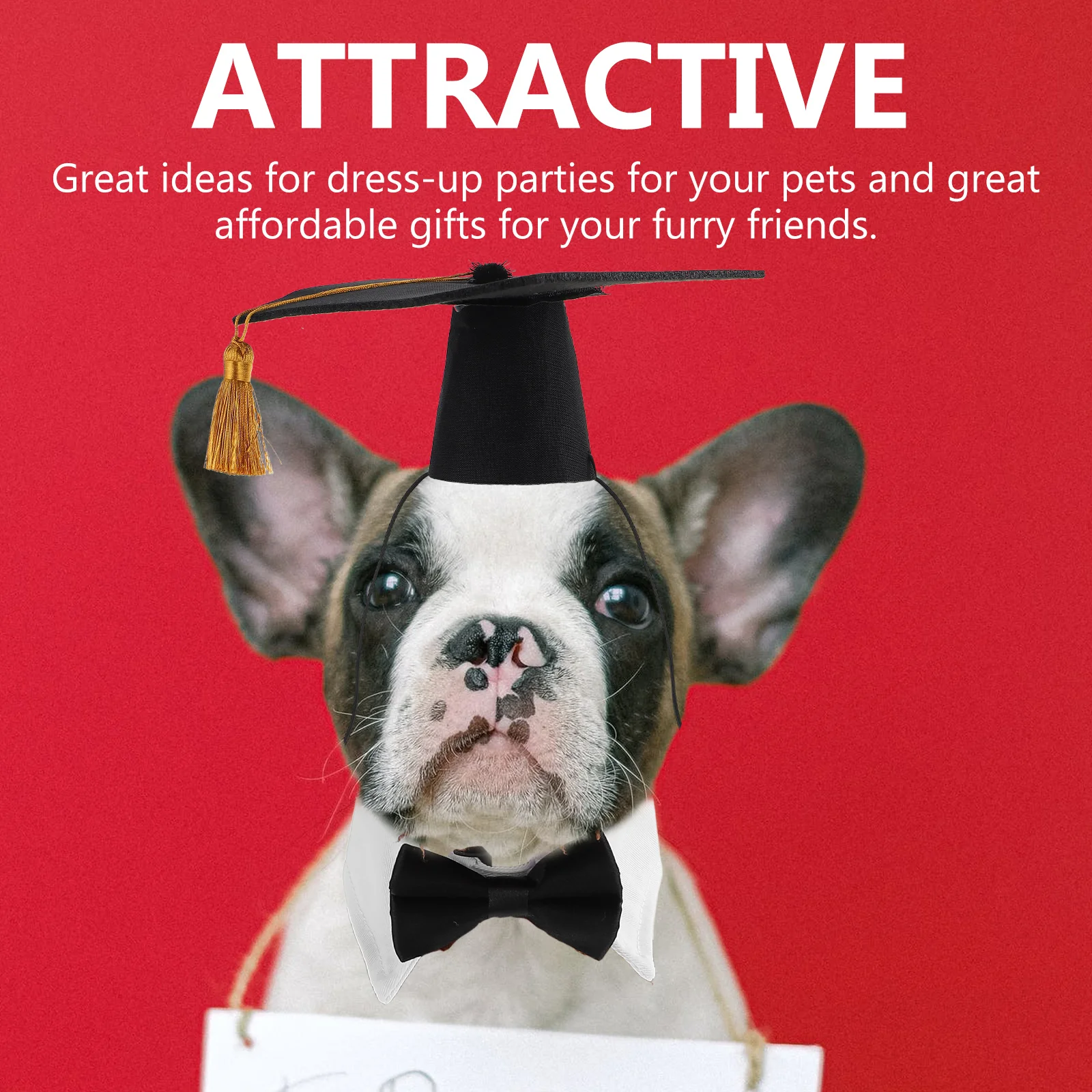 

1 Set Of Skin-Friendly Pet Graduation Costume With Cap For Dog Party Accessory