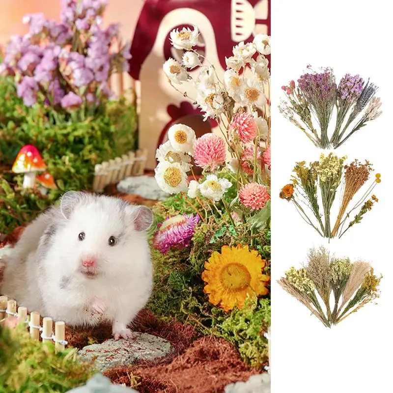 Nature Flower Herb Hamster Bedding Decor Hamster Habitat Decor Hamster Cage Supplies For Hamsters Gerbil Rabbits Other Small Pet