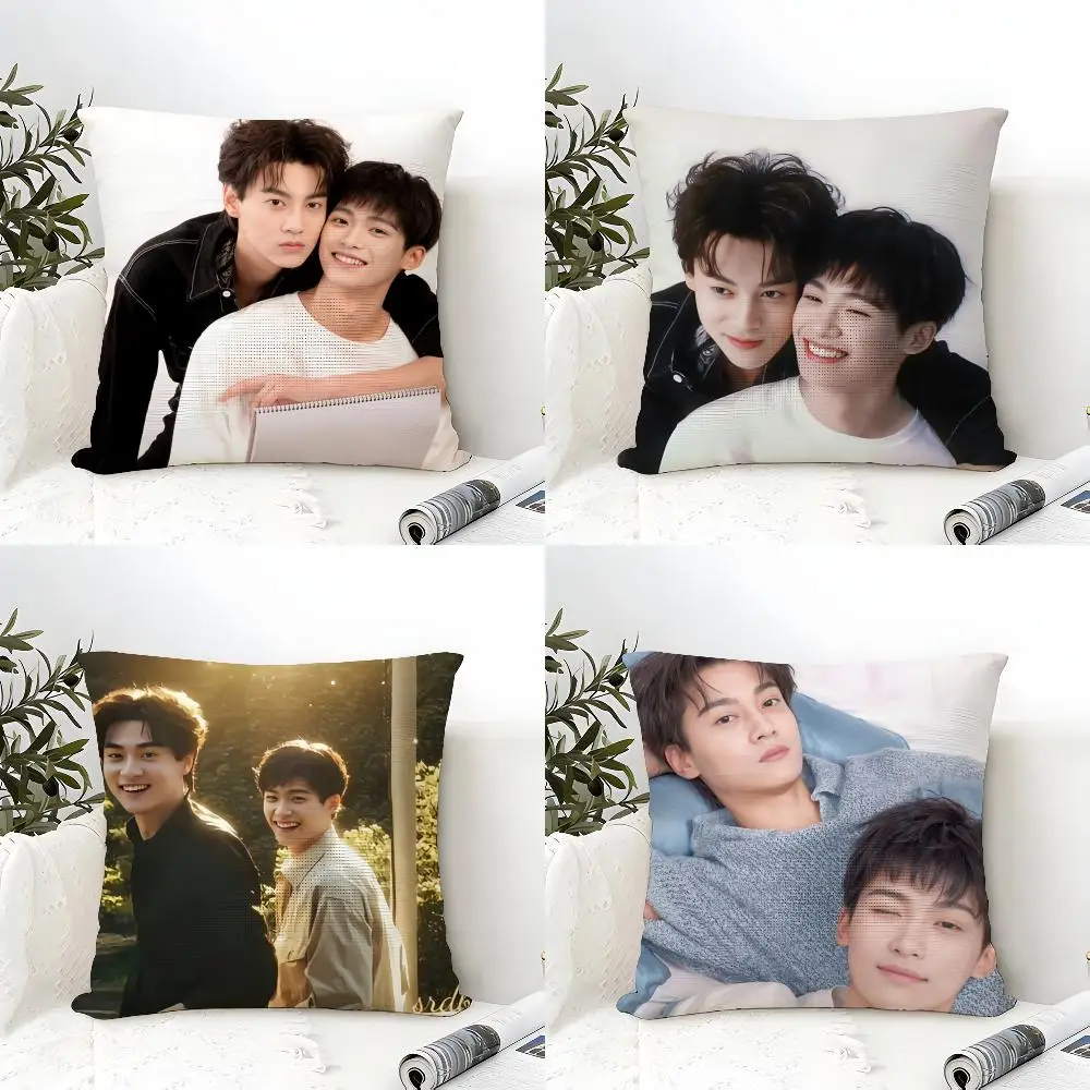 Tv Series R-revenged Love Cushion Cover Eco Linen Pillow Case Double-Sided Print Breathable Durable Zipper Home Decor Gift
