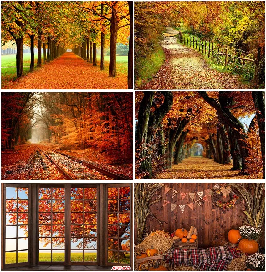 

Autumn Backdrops Natural Scene Maple Leaves Pumpkin Window Fall Photographic Backgrounds Trees Studio Photozone Banner Props