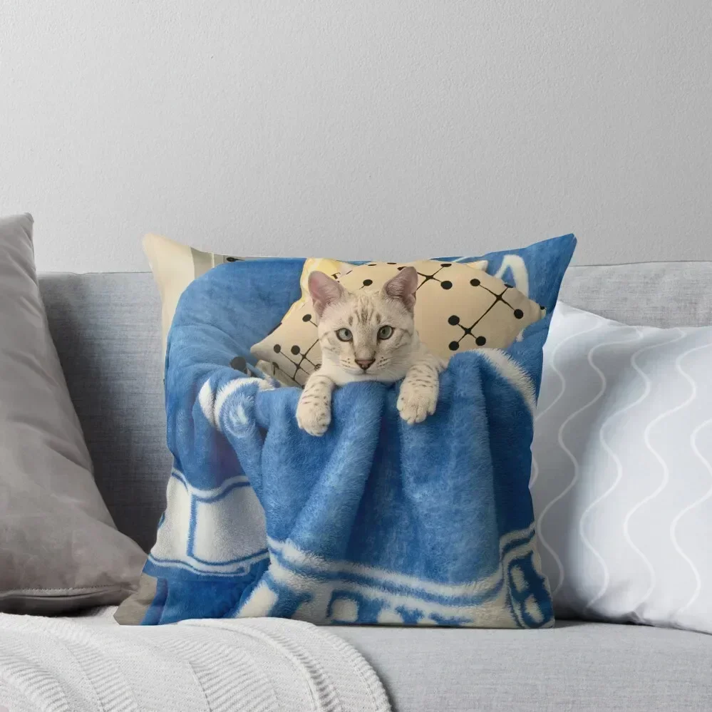 Snow Bengal Throw Pillow Decorative Cushion Cushions For Decorative Sofa pillow