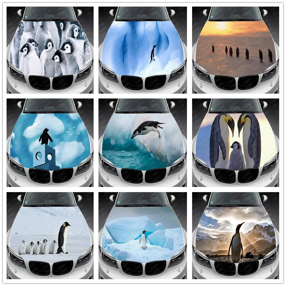 

Penguin Car Hood Decal,Self-Adhesive Waterproof PVC hood Sticker,car Decor Scratch Resistant Sticker Protect,Auto Accessories
