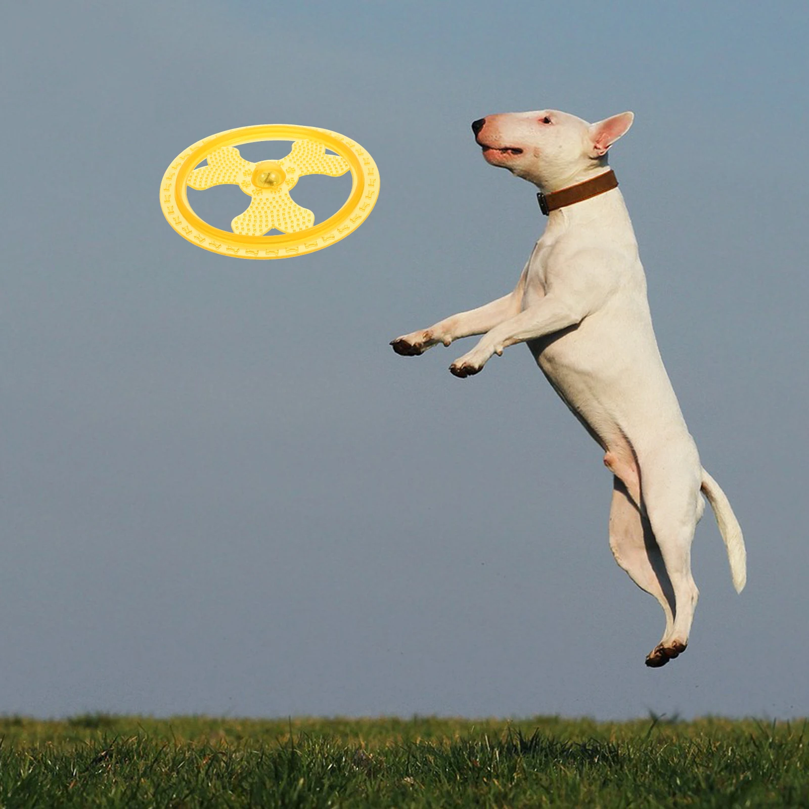 

Glowing Pet Flying Disc Throw and Fetch Training Accesssories Outdoor Running Catching Throwing for Puppy Dogs