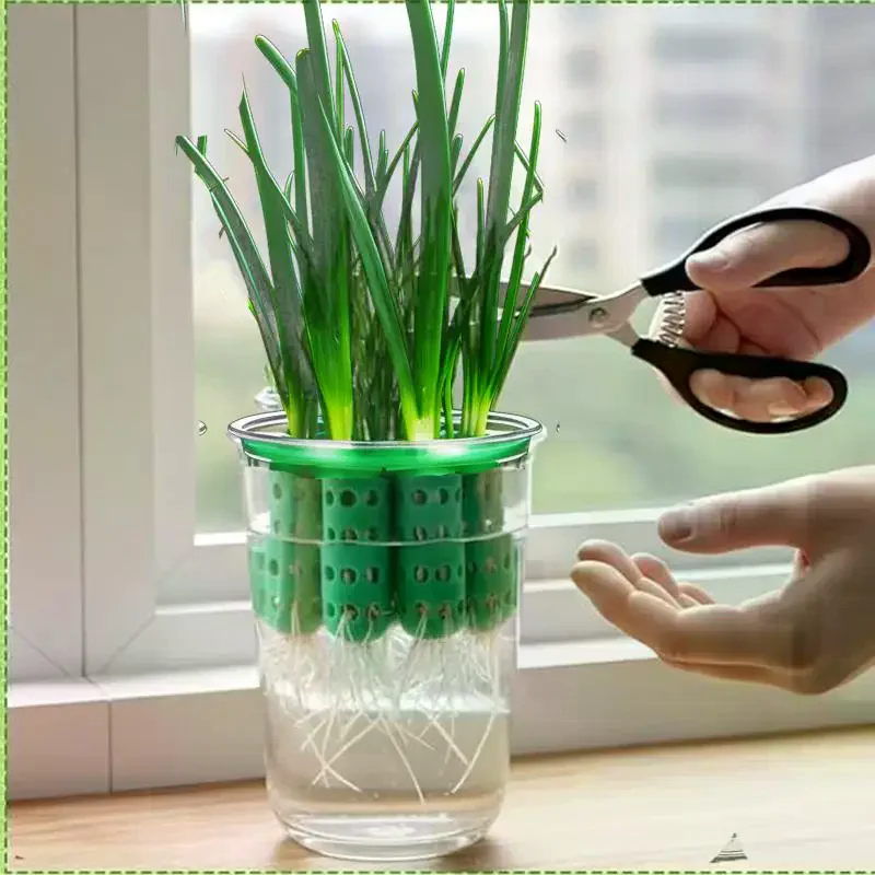 Green Onion Planter Hydroponic Grower Kit 7 Holes Clear Reusable Scallion Seedling Tray Mini Vase For Plant Vegetable Sprouting