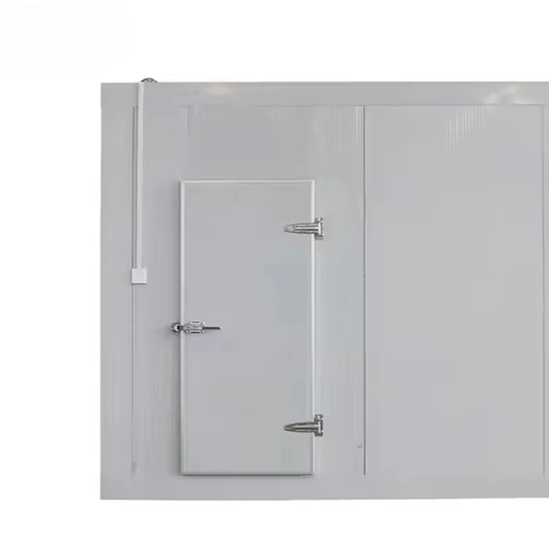 

Customized Stable Quality Small Size Cold Storage Room Cooling Room for Fruits Cold Room Containers