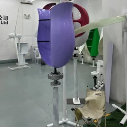 6000W 12V 24V 48V Flower Shape Wind Turbine 3 Phase Low Noise Vertical Wind Power Generator  Windmill For Home Farm Boat