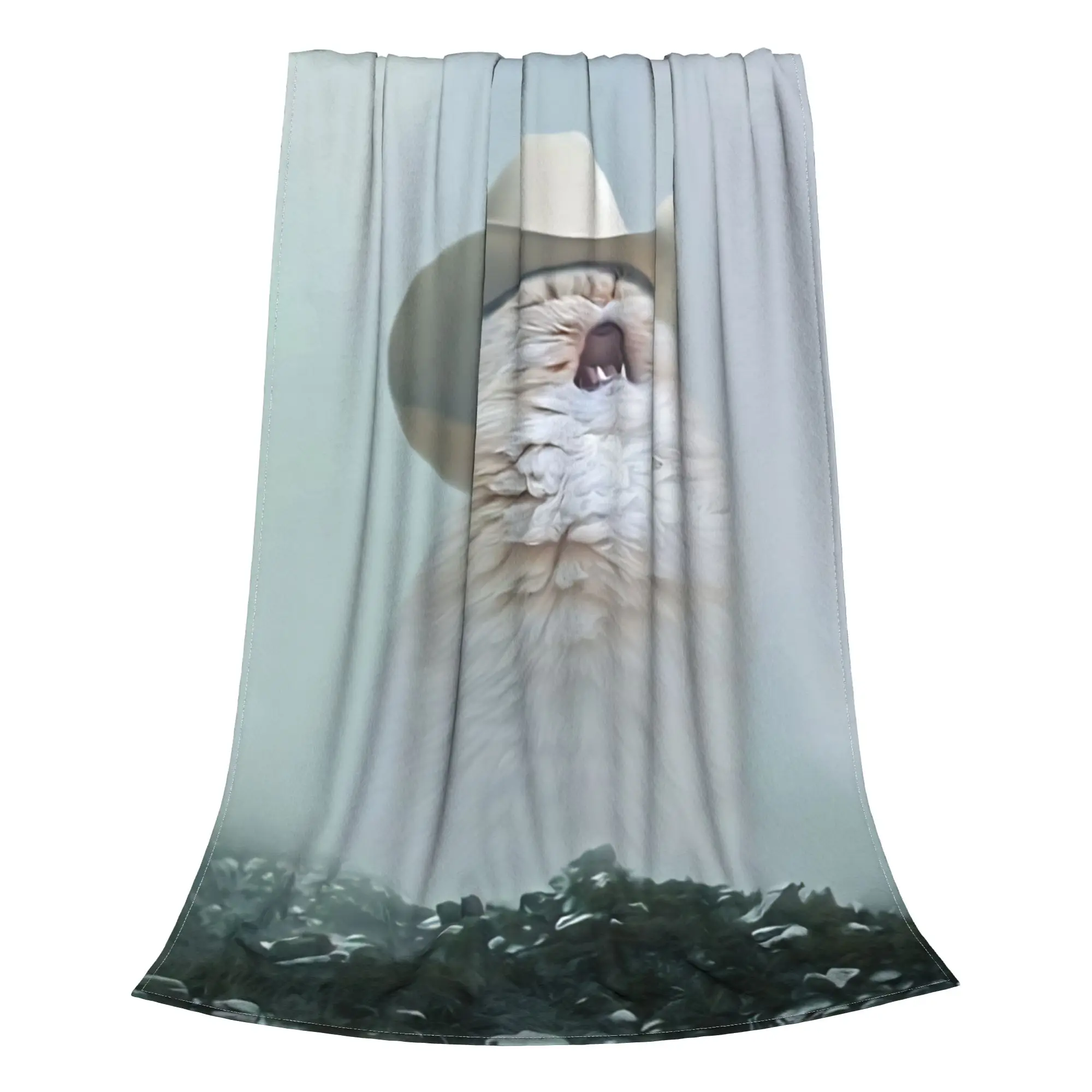 1PC Home Cute Room Decor Cowboy Cat Blanket Throw Blanket Cat meme Novelty Warm Blanket All Season