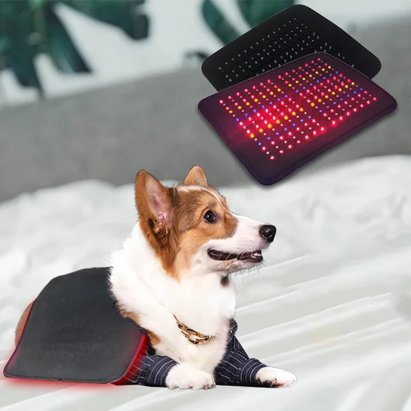 Suyzeko OEM Portable Sports Recovery LED Light Therapy 405nm 660nm 810nm 589nm Near Infrared Red Light Therapy Pad for Dog