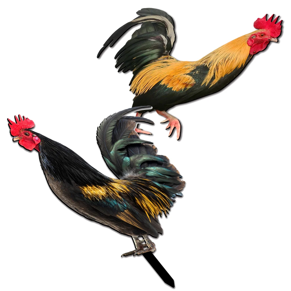 

1 set Acrylic Duck Garden Decoration Stake Chicken Shape Yard Sign Lawn Animal Insert Sculpture Outdoor Hen Decor