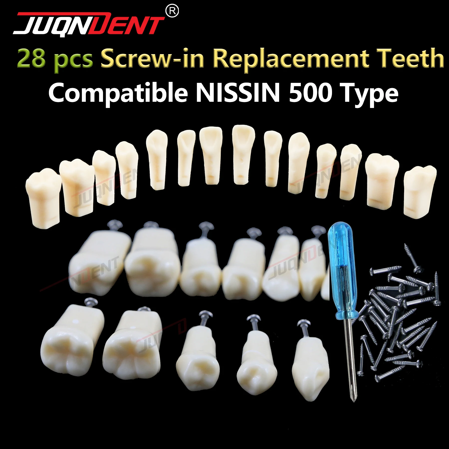 

Dental Teeth Model Replacement Screw-in Resin Typodont Fit Nissin 500 Type Models For Dentistry Technician Practice Training