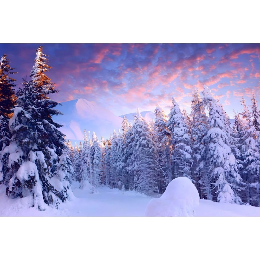 Winter Snow Scene Backdrop Snowflake Forest Mountain Nature Landscape Christmas Baby Portrait Photography Backgound Photo Studio