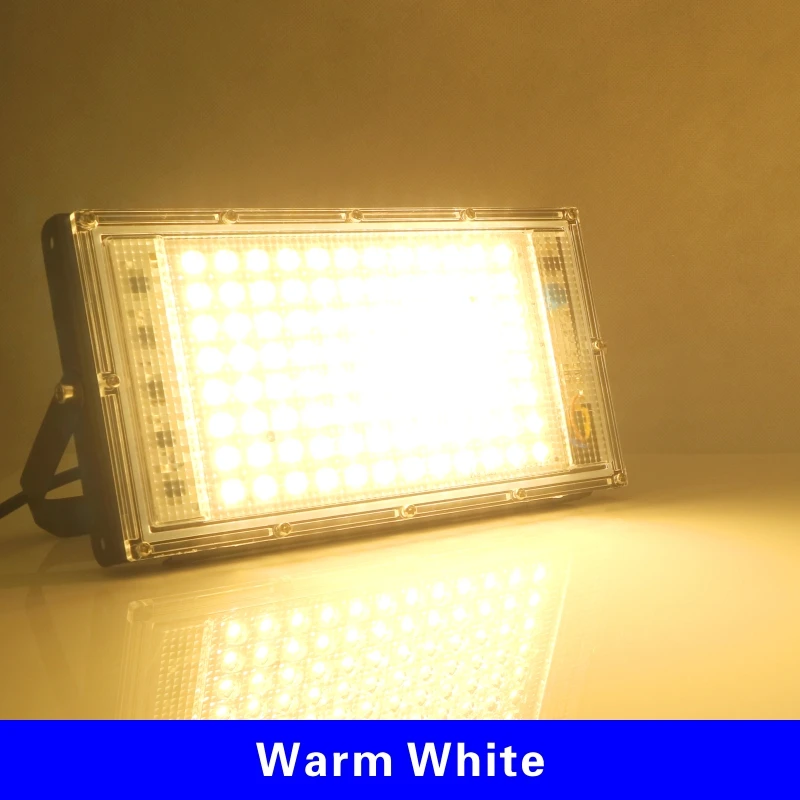 DSELCHUN 100W LED Flutlicht 4