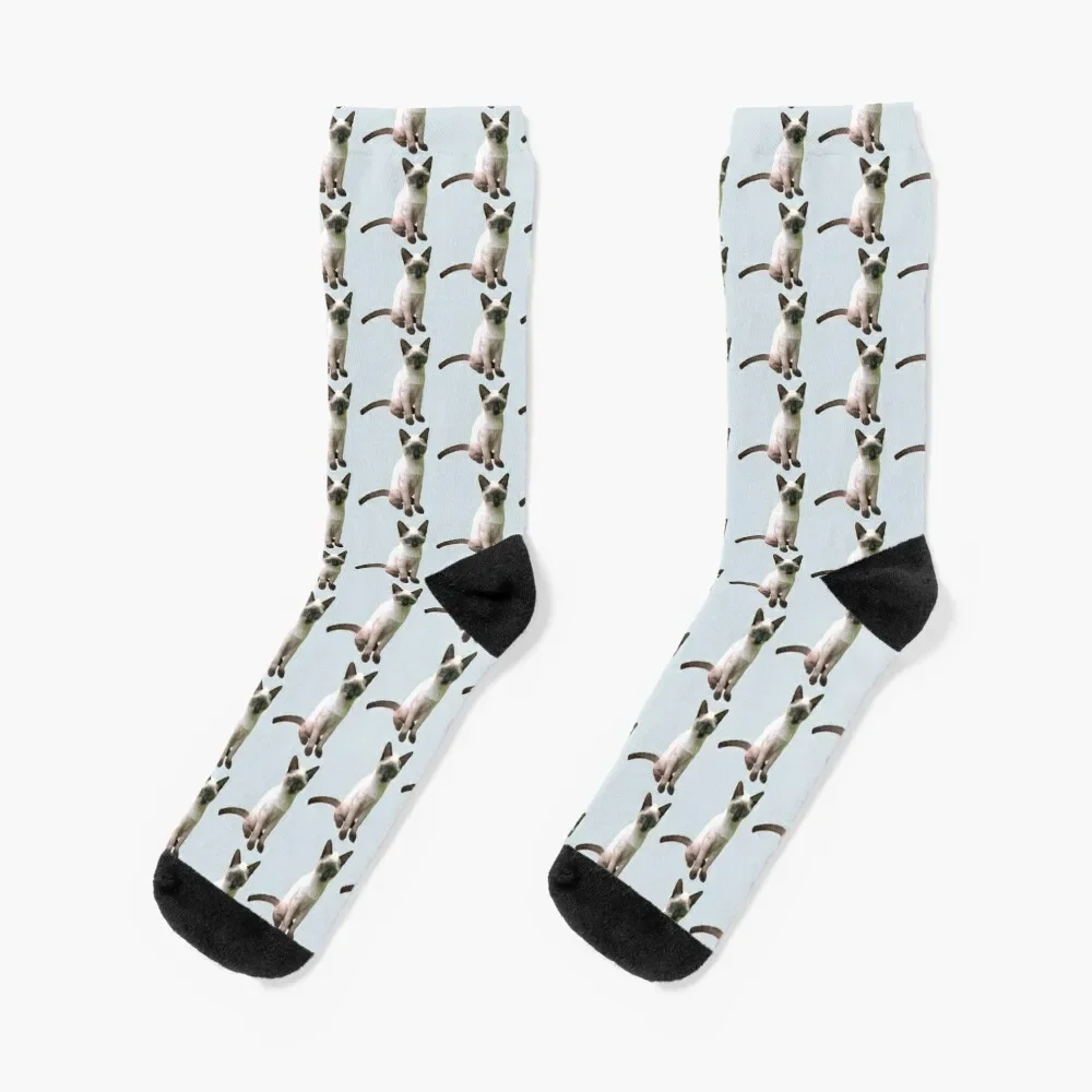 

Siamese Kitten Socks designer moving stockings with print christmas stocking Luxury Woman Socks Men's