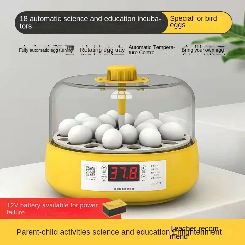 

Mini Fully Automatic Rutin Chicken Water Bed Intelligent Incubator For Children's Chicks