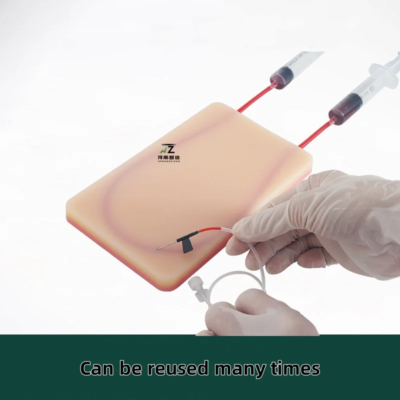 

Vascular Puncture Simulation Model Anatomical PVC Manikin with Blood Return Module for Nurse Training Human Skin Training Model