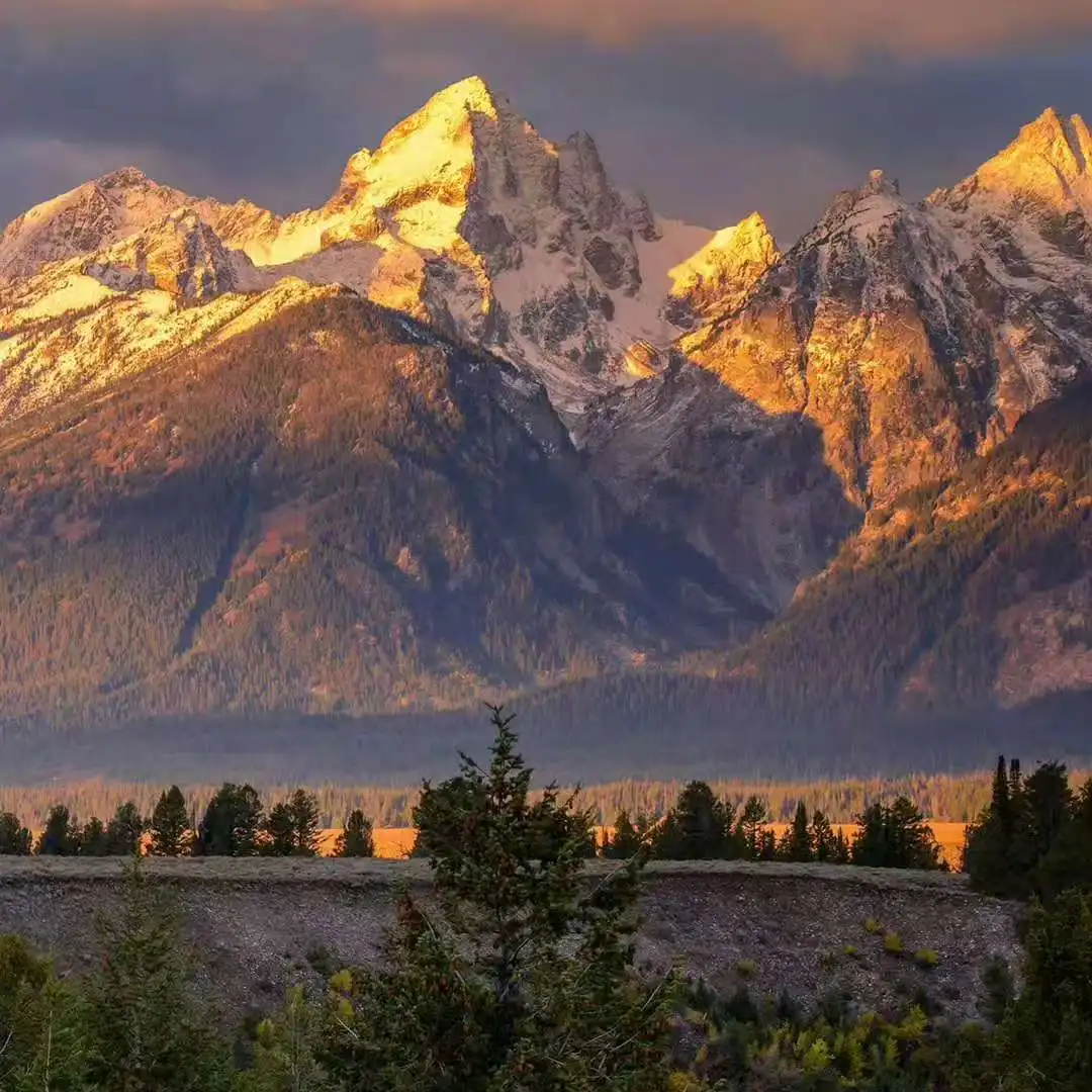 

NEW 15T 6500W EMS Body Sculpt Weight Lose EMS 5 RF HandleMuscle Stimulate Body Slimming Sculpting Fat Reduction Machine