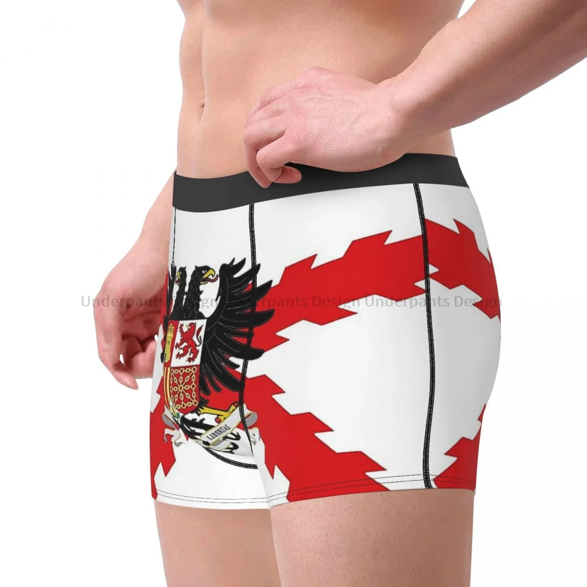 National Flag Spain Imperial Shield Underpants Breathbale Panties Male Underwear Comfortable Shorts Boxer Briefs