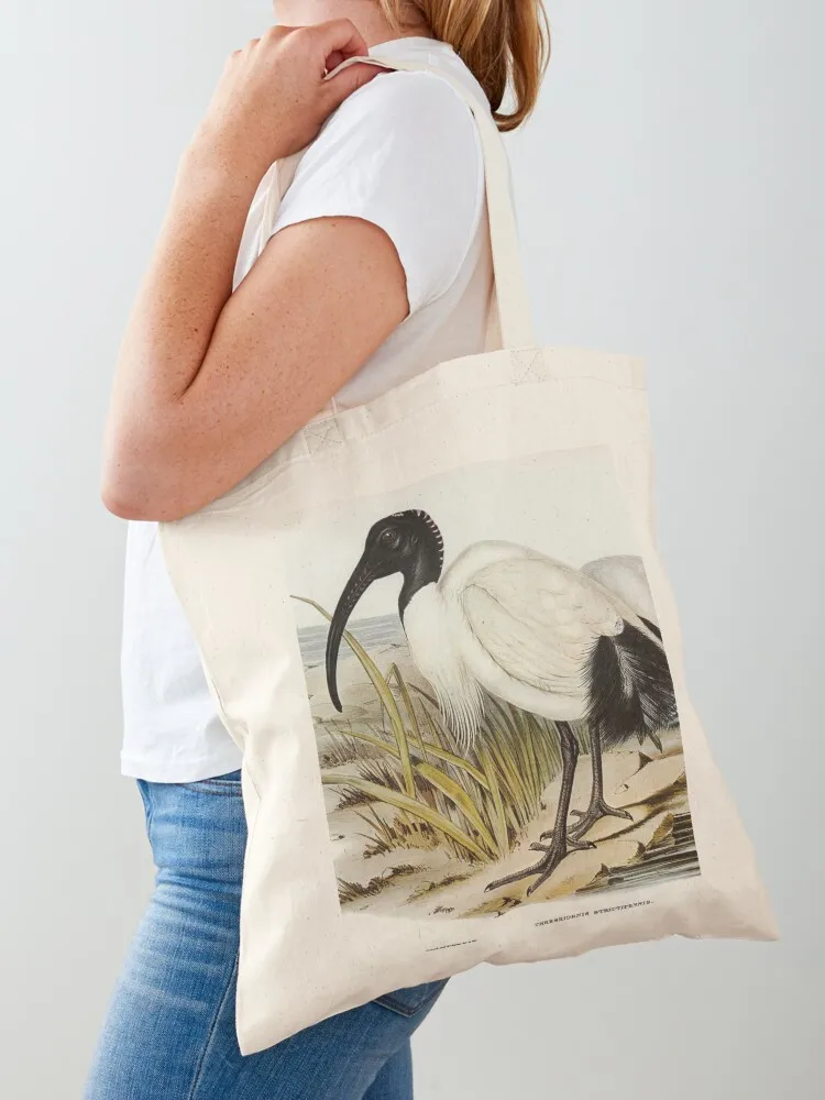 Vintage Ibis Aka Bi… - image