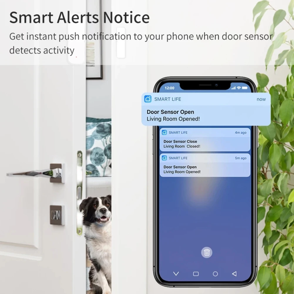 Zigbee Door Window Sensor for Tuya APP Open Entry Smart Security Alarms Compatible with Alexa Google Home Hub Required