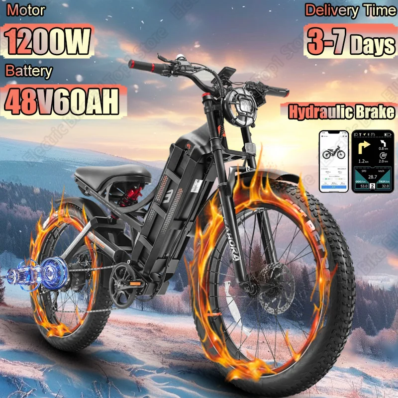 Romeo Pro E Bike 1200W leistungs starker Motor 48V 60ah hydraulische Scheiben bremsen Elektro