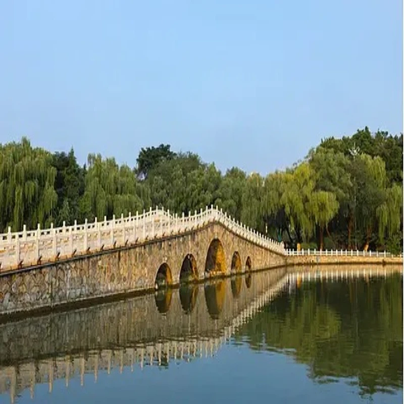 

iFlight Nazgul DC5 V1.1 O4 Pro FPV Frame Kit 240mm Wheelbase with 5mm Arm for RC FPV Racing Drone